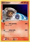 cat in space