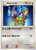 Wizard team