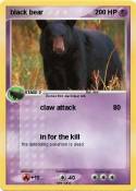 black bear black bear