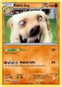 Rabid dog
