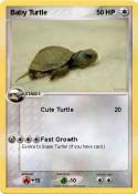 Baby Turtle