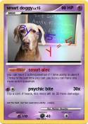 smart doggy