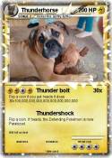 Thunderhorse