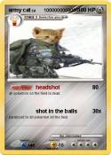 army cat