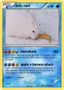 Artic hare