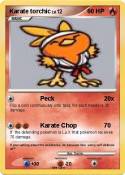 Karate torchic