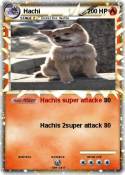 Hachi