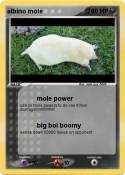 albino mole