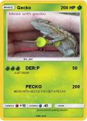 Gecko