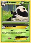 PANdaB