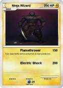 Ninja Wizard