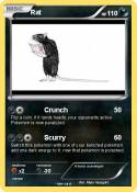 Rat