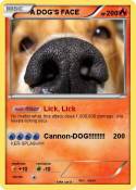 A DOG'S FACE