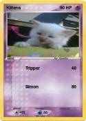Kittens