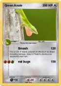 Green Anole