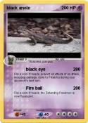 black anole