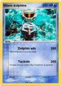Miami dolphins