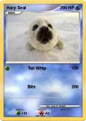 Harp Seal