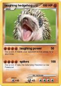 laughing hedgehog laughing