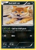 Red wolf cub