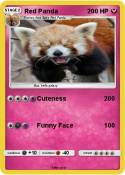 Red Panda