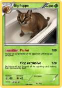 Big floppa