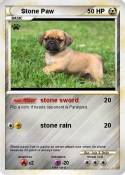 Stone Paw