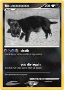 Bo