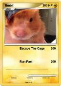 Timbit