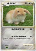 MR.BUNNY MR.BUNNY