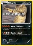 Military Cat