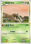 Sporty Dog