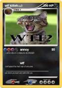 wtf kitteh wtf kitteh