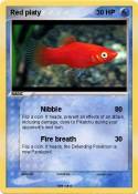 Red platy