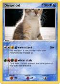 Danger cat