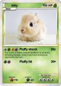 kitty
