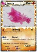 Ameoba