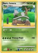 Paul's Torterra