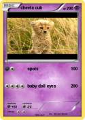 cheeta cub