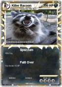 Killer Racoon