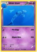 Whale Shark
