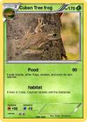Cuban Tree frog Cuban Tree frog