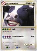 mooooooooo mooooooooo