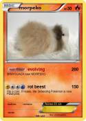 morpeko