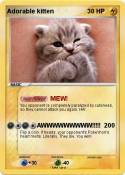 Adorable kitten
