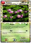 Flowers