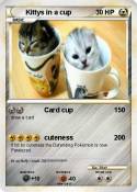 Kittys in a cup