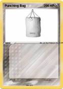 Punching Bag
