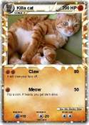Killa cat