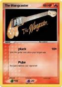The Wangcaster